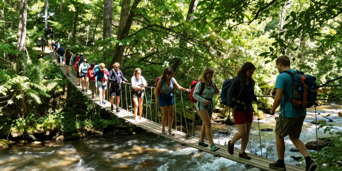 Group crossing a River Rope Bridge in a lush forest, showcasing adventure and teamwork.